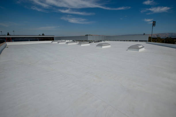 Best Slate Roofing  in Geneva, AL