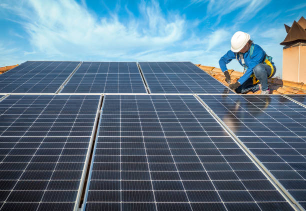 Best Roof Moss and Algae Removal  in Geneva, AL