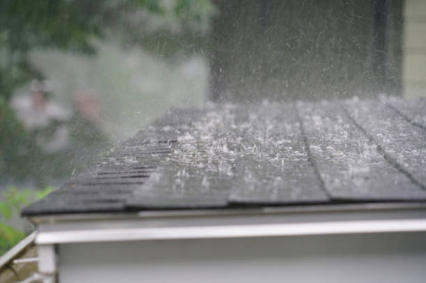 Best Roof Installation  in Geneva, AL