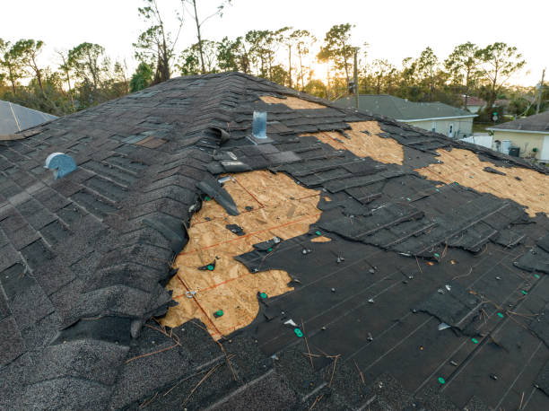 Best Roof Leak Repair  in Geneva, AL