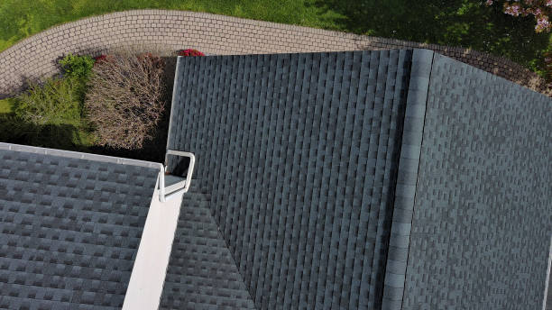 Best Roof Insulation Installation  in Geneva, AL