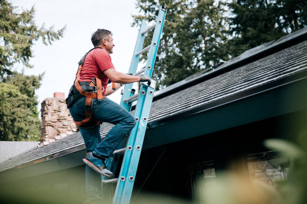 Best Green or Eco-Friendly Roofing Solutions  in Geneva, AL