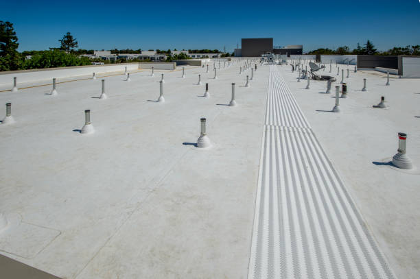 Best Roof Moss and Algae Removal  in Geneva, AL